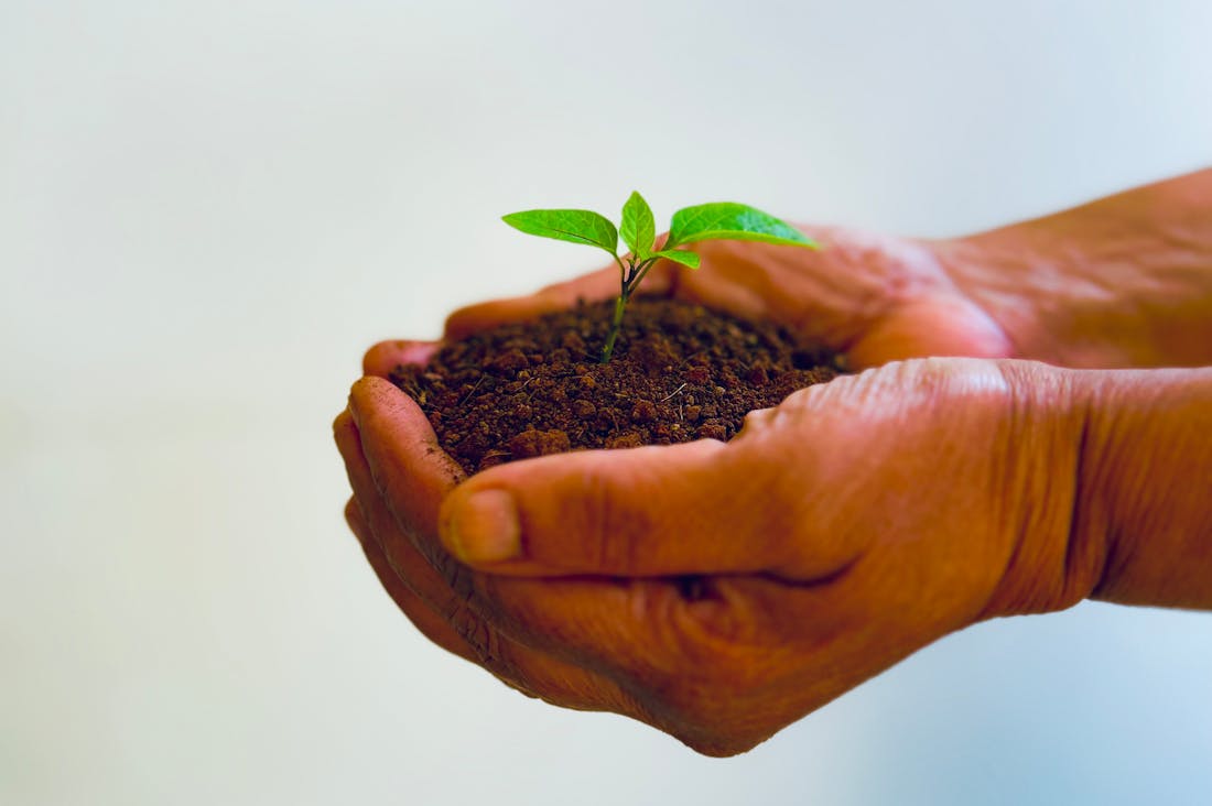 Sustainable Living Practices for Everyday Choices Image 1