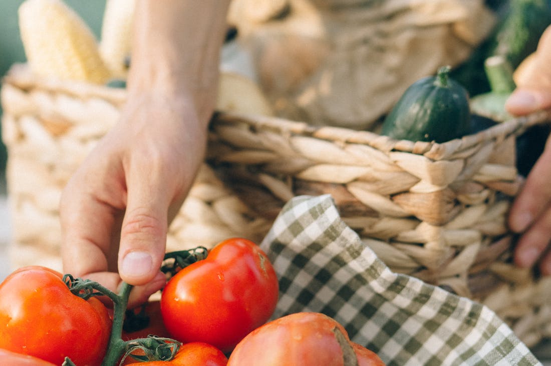 Sustainable Living Practices That Boost Your Lifestyle and Well-being Image 3