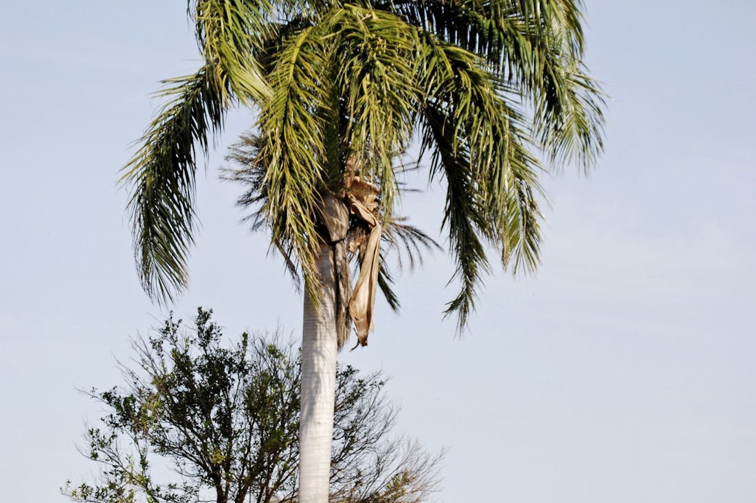 Sustainable Living Practices to Enhance Your Lifestyle Choices Image 1