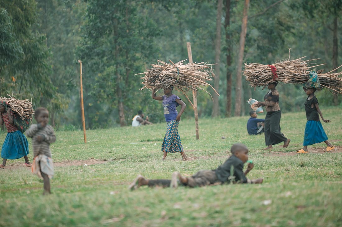 Sustainable Living Practices to Incorporate in Your Daily Routine Image 3