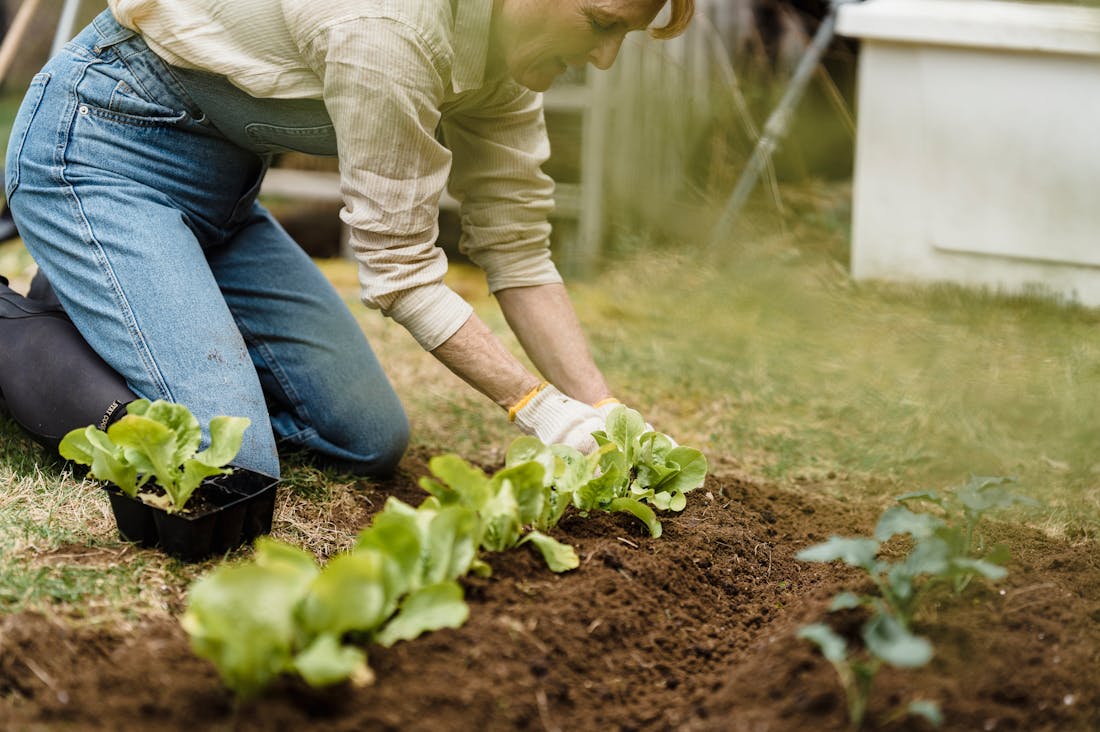 Sustainable Living: Steps Toward an Eco-Friendly Home Image 3