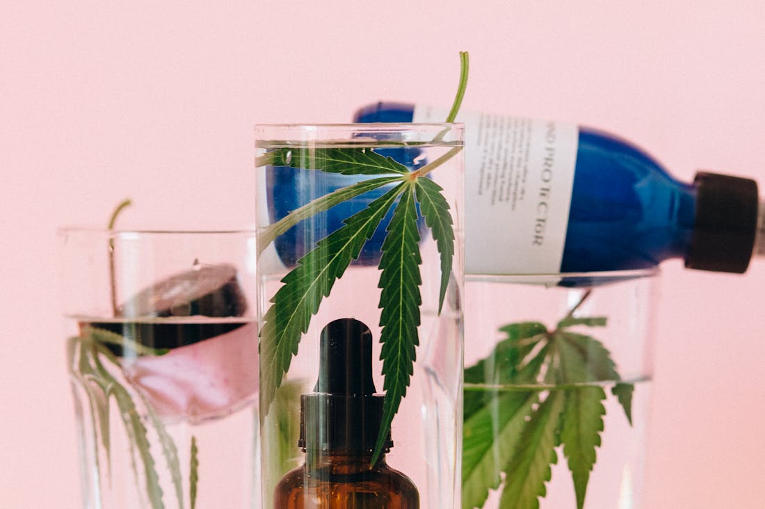 Sustainable Living: Tips for a Minimalist Lifestyle Image 2