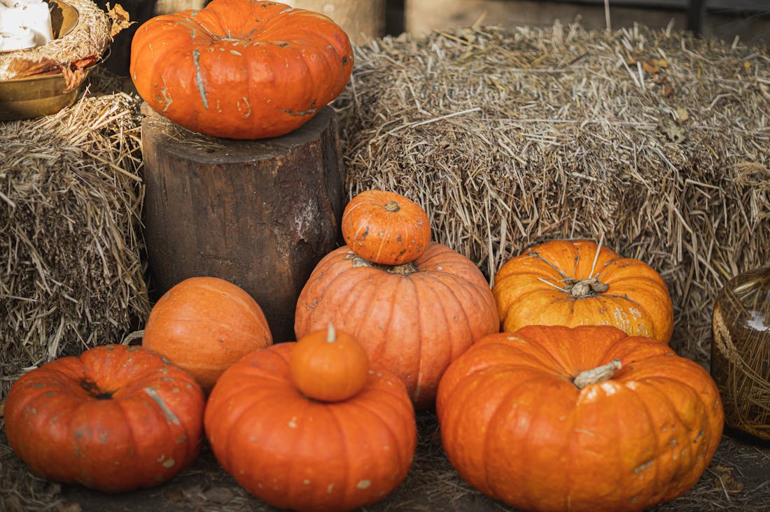 Sustainable Living Tips for an Eco-Friendly Lifestyle Image 1