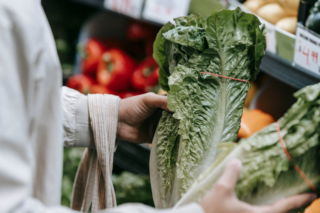 Sustainable Living Tips to Reduce Your Environmental Impact Image 2