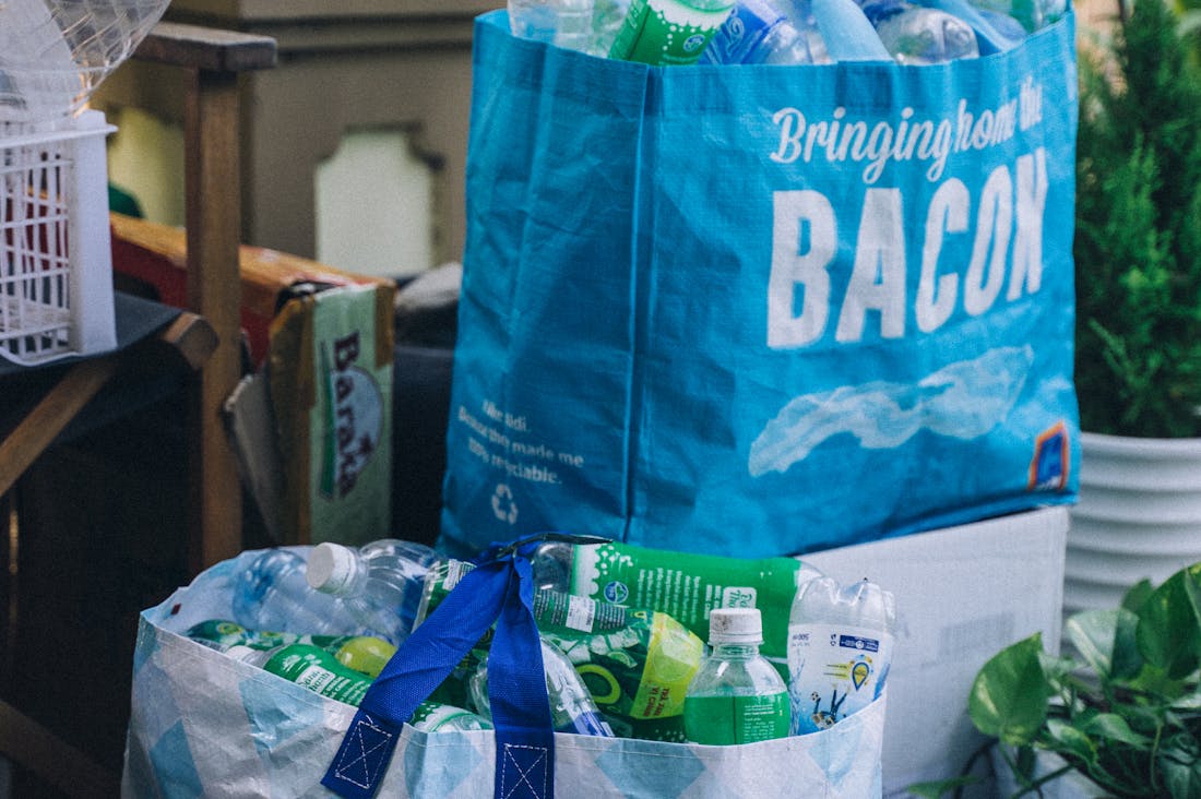 Sustainable Living Tips to Reduce Your Environmental Impact Image 3