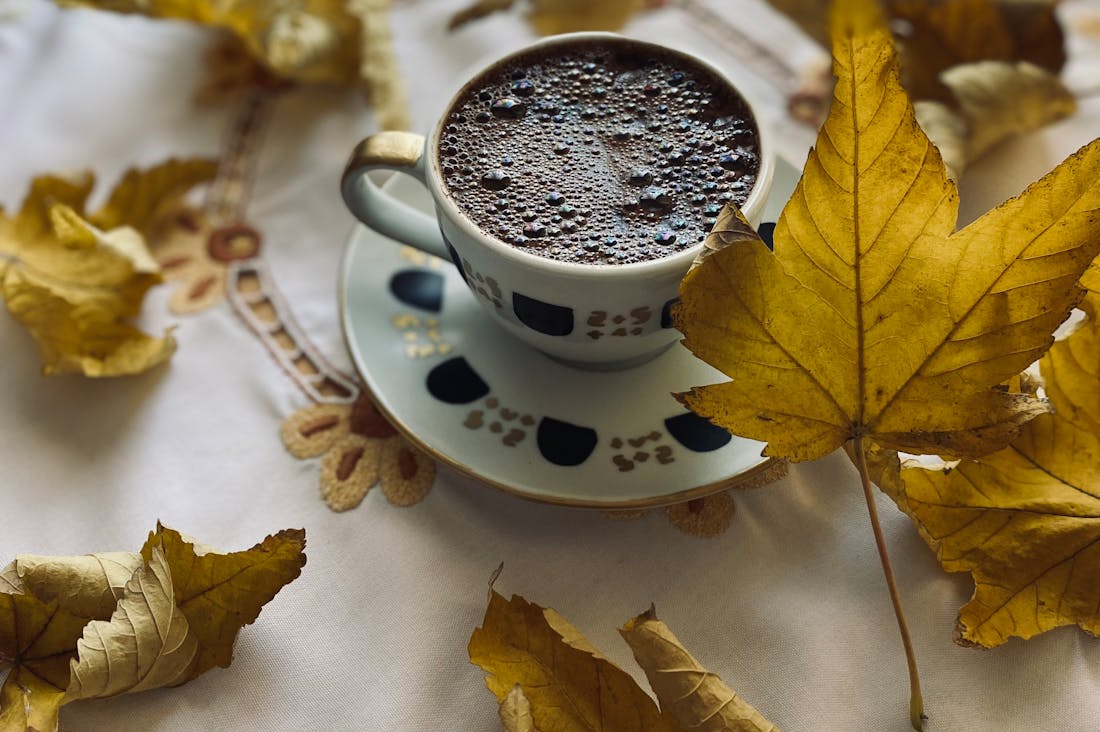 Sustainable Living Tips to Transform Your Daily Routine Image 1