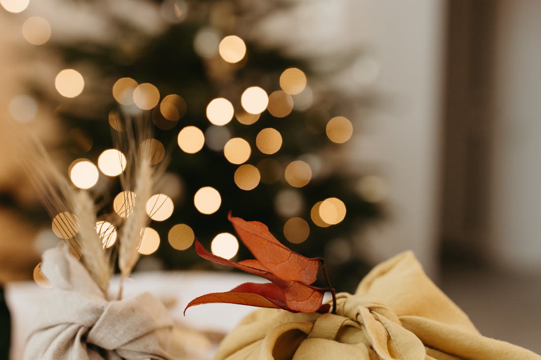 Sustainable Living Trends That Make a Difference Image 1