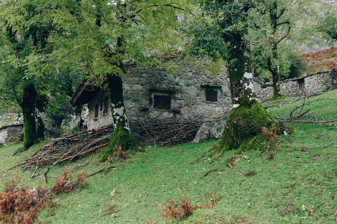 Sustainable Living Trends That Make a Difference Image 2