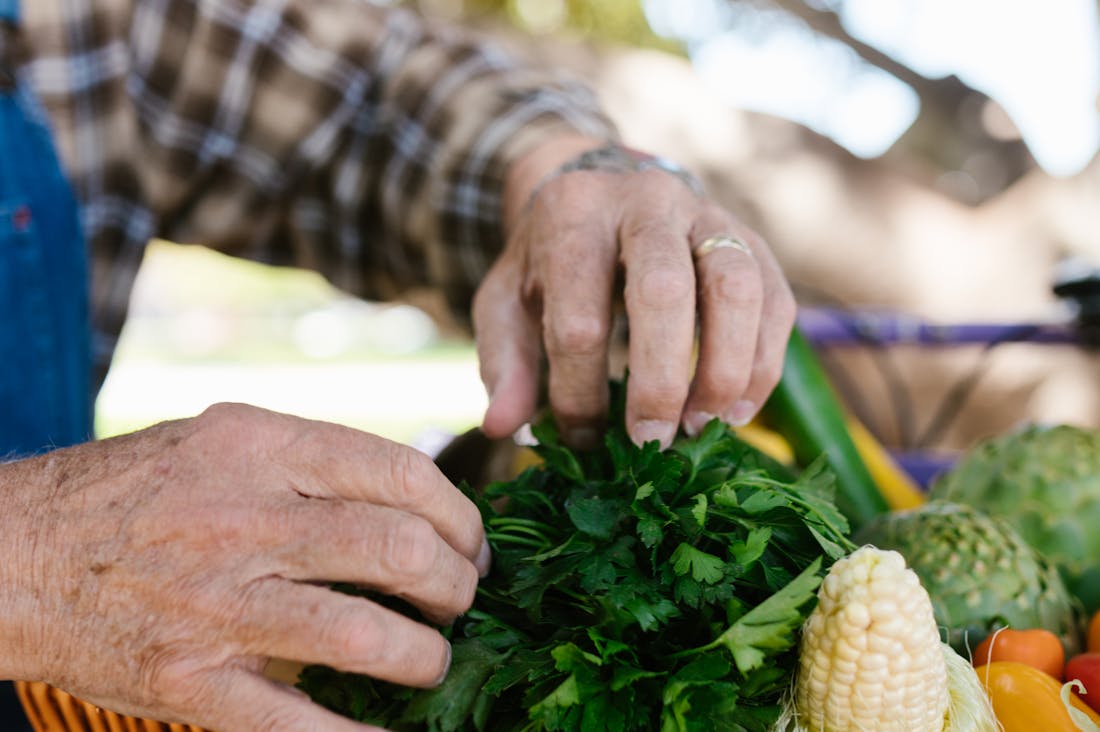 Sustainable Living Trends That Make a Difference Image 3