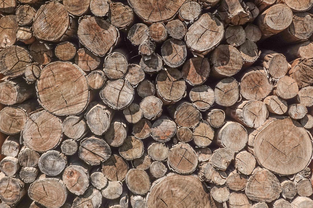 Sustainable Practices to Adopt for an Eco-Friendly Lifestyle Image 2