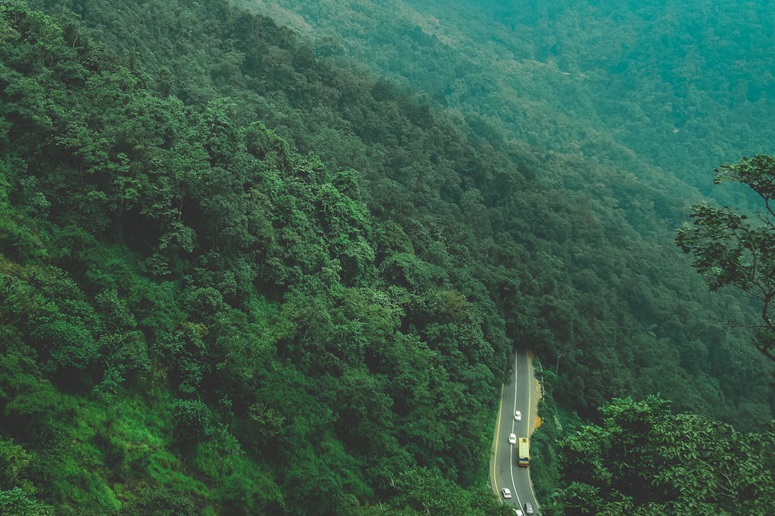 Sustainable Travel Choices That Reduce Your Carbon Footprint Image 2