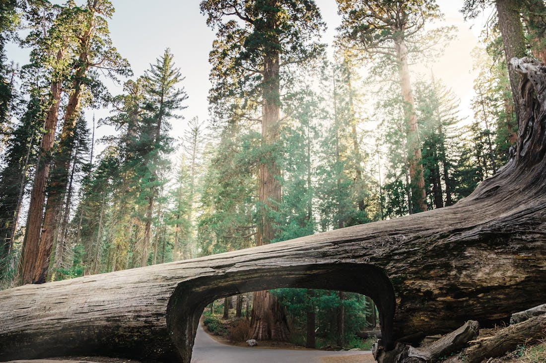 Sustainable Travel: Creating Memorable Experiences with Minimal Impact Image 1