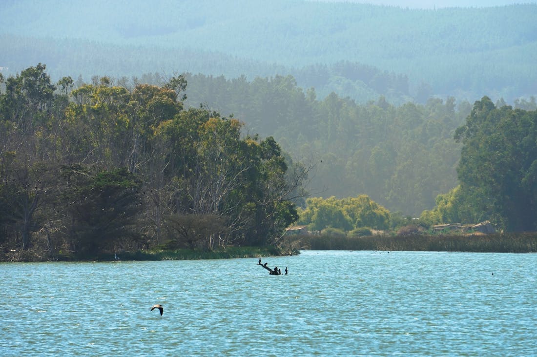 Sustainable Travel: Discovering the Balance Between Adventure and Responsibility Image 3