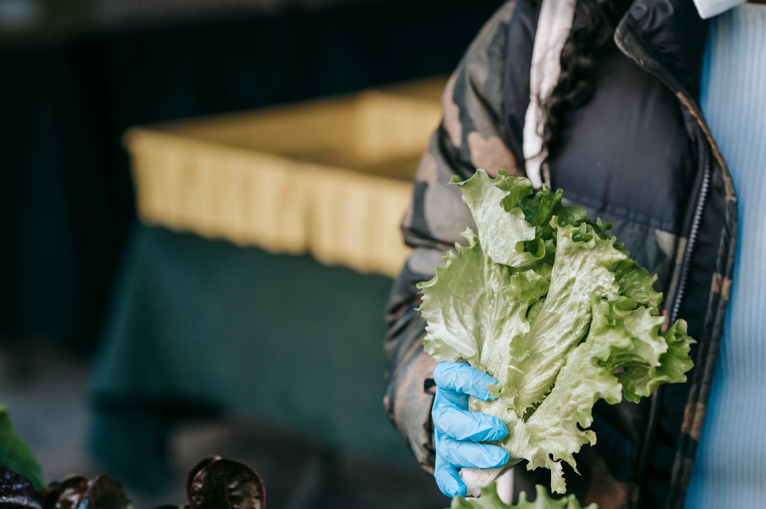 Sustainable Travel: Eco-Friendly Tips for Conscious Explorers Image 2