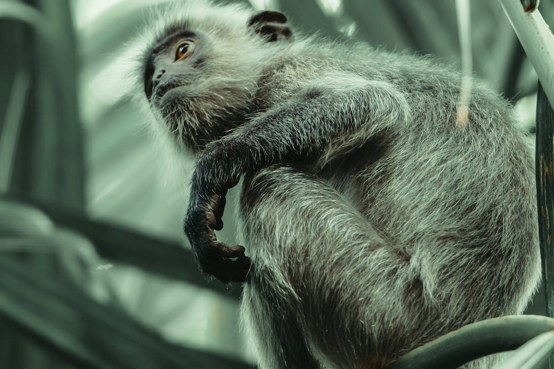 Sustainable Travel: Embracing Eco-Friendly Practices for a Greener Getaway Experience Image 3