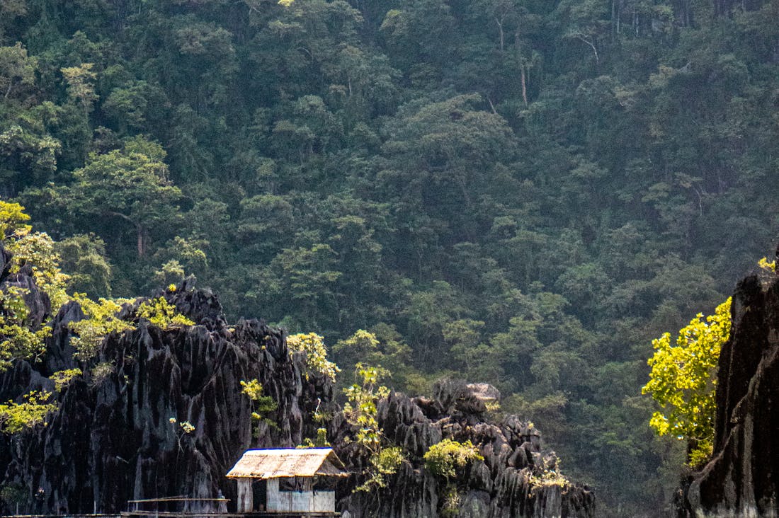 Sustainable Travel: Exploring Eco-Friendly Destinations for Your Next Adventure Image 2