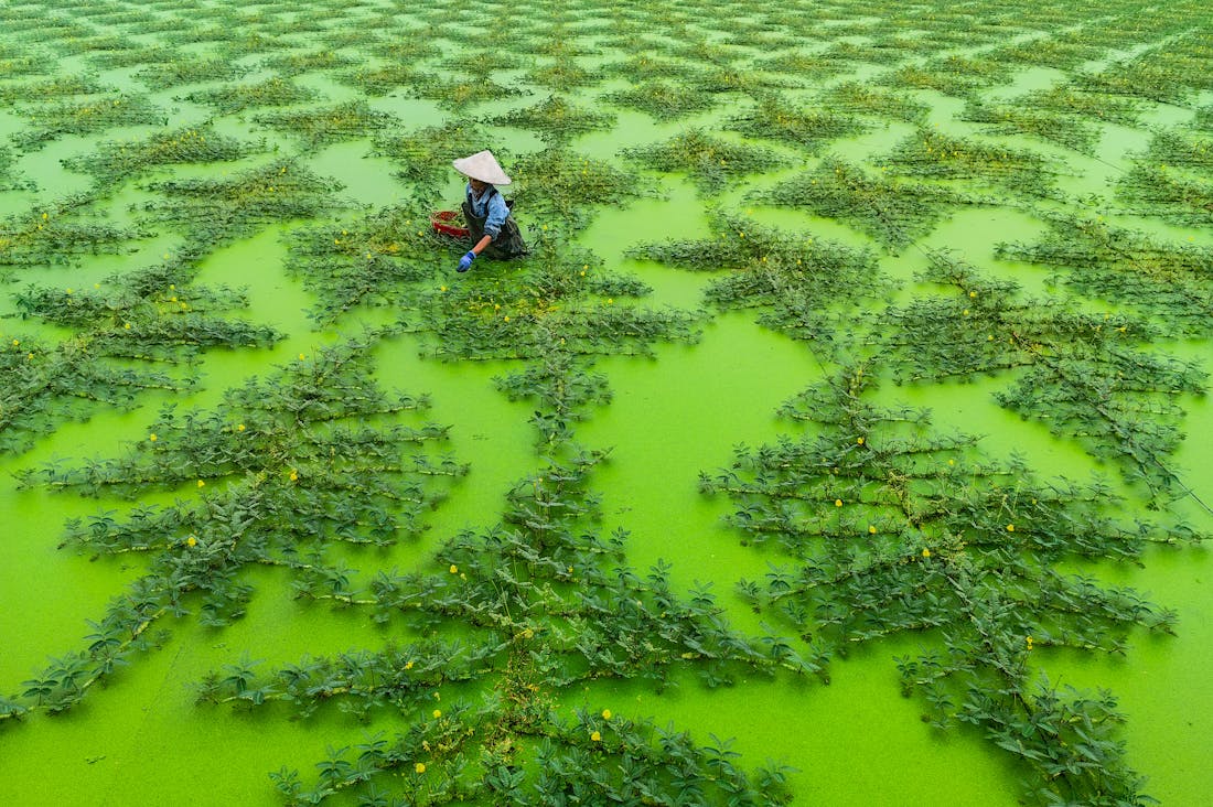 Sustainable Travel: How Modern Travelers Can Reduce Their Carbon Footprint and Enjoy Adventure Image 2