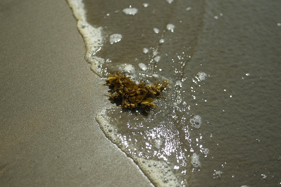 Sustainable Travel: How Modern Travelers Can Reduce Their Carbon Footprint and Enjoy Adventure Image 3