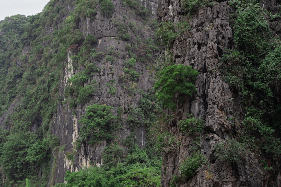 Sustainable Travel: How to Choose Eco-Friendly Destinations Image 2