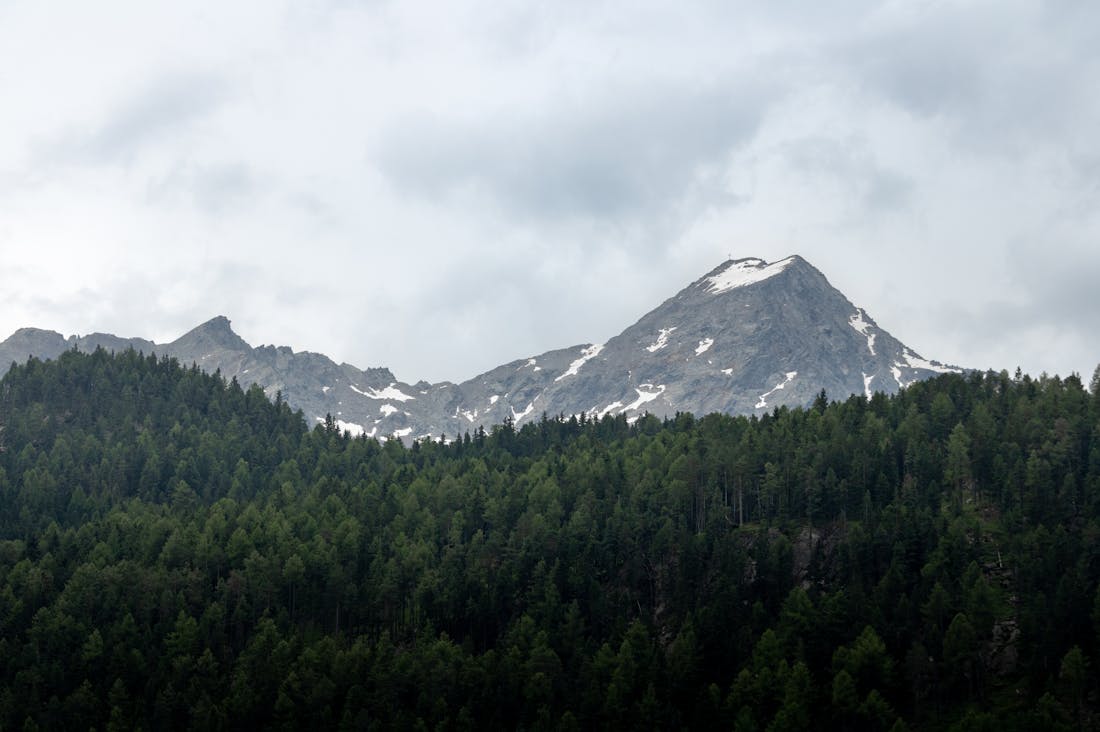 Sustainable Travel: How to Explore the World While Keeping Your Carbon Footprint Minimal Image 3