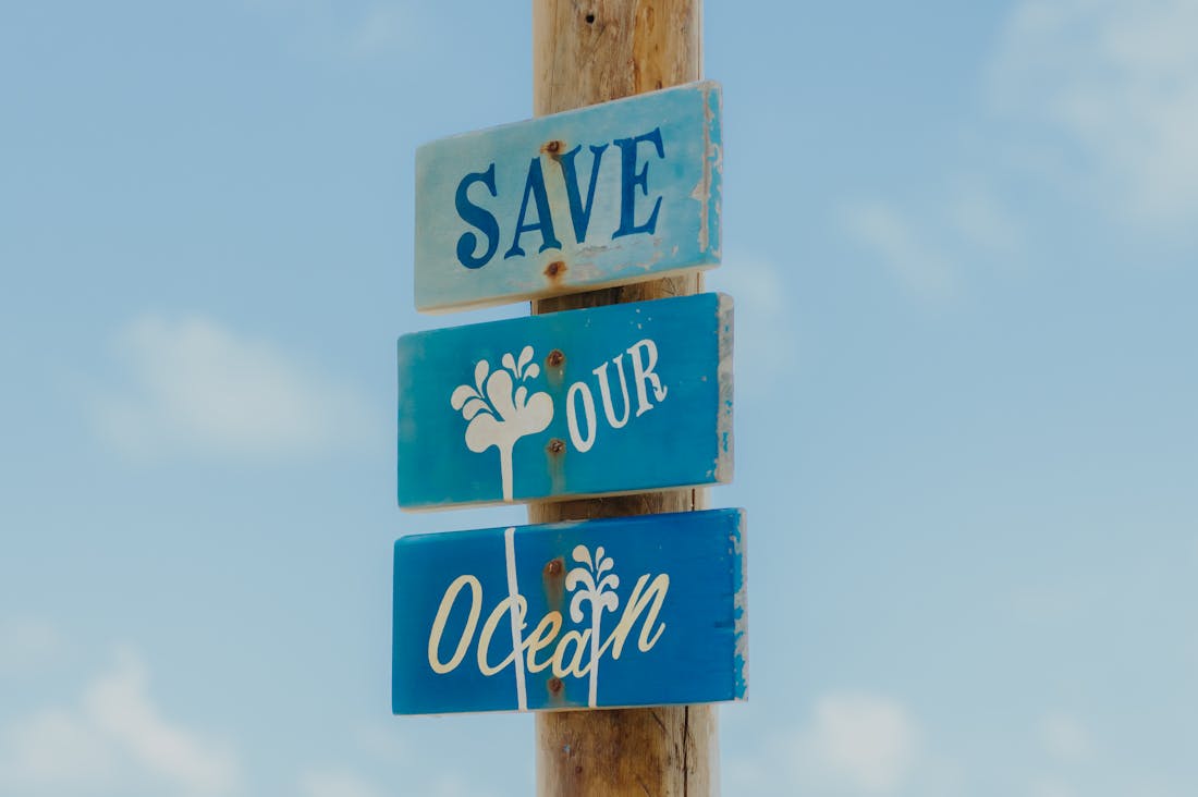 Sustainable Travel: Making Eco-Friendly Choices for a Greener Planet Image 3