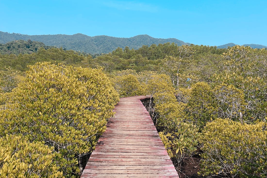 Sustainable Travel Practices Benefiting Planet and Wallet Image 2