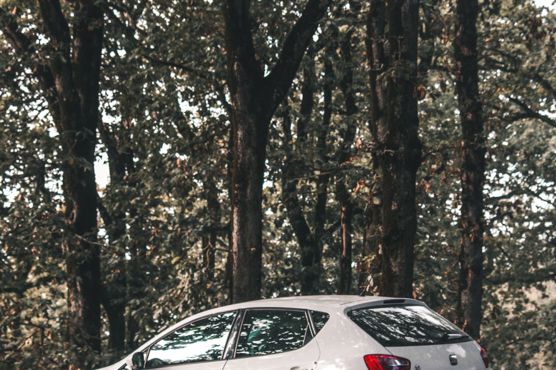 Sustainable Travel Practices for Modern Explorers: Making Positive Choices Image 1