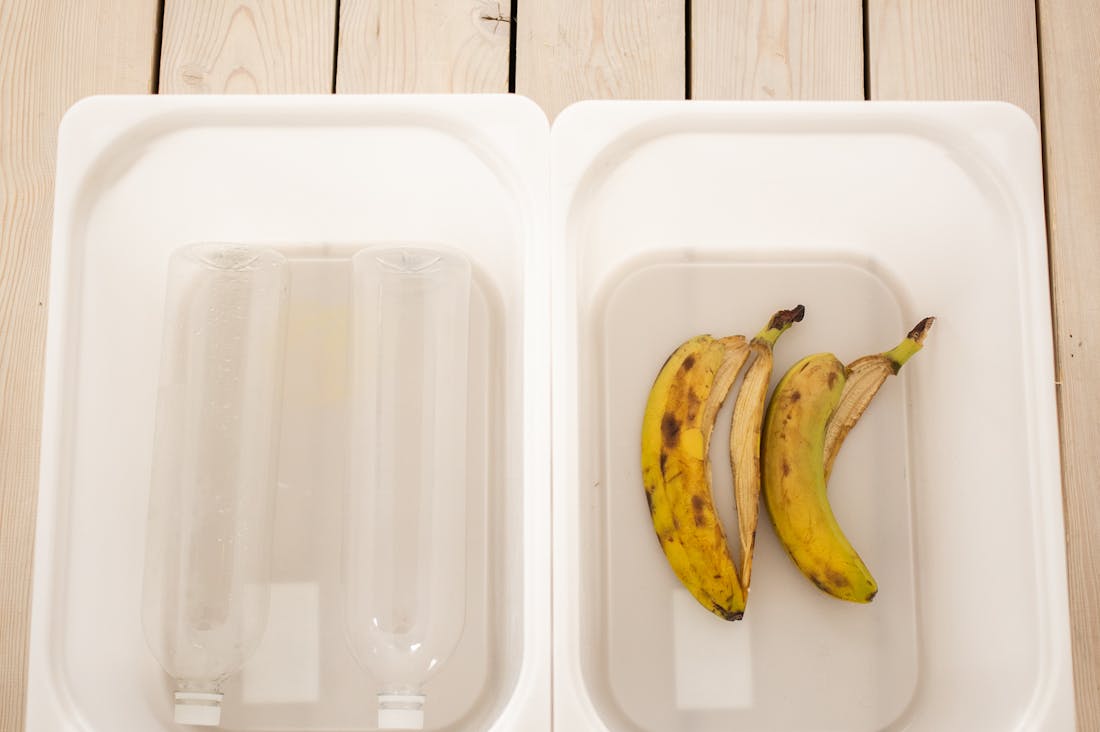 Sustainable Travel Practices: Making Your Adventures Eco-Friendly Image 2