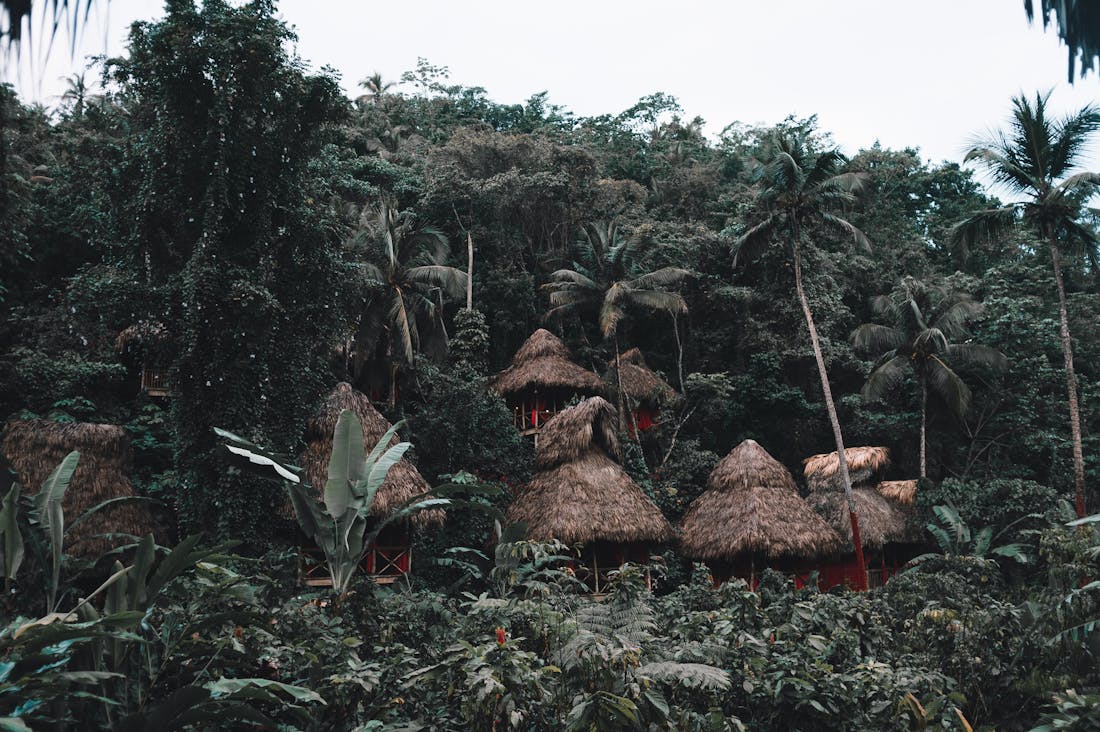 Sustainable Travel: Redefining Journeys with Eco-Friendly Choices Image 2