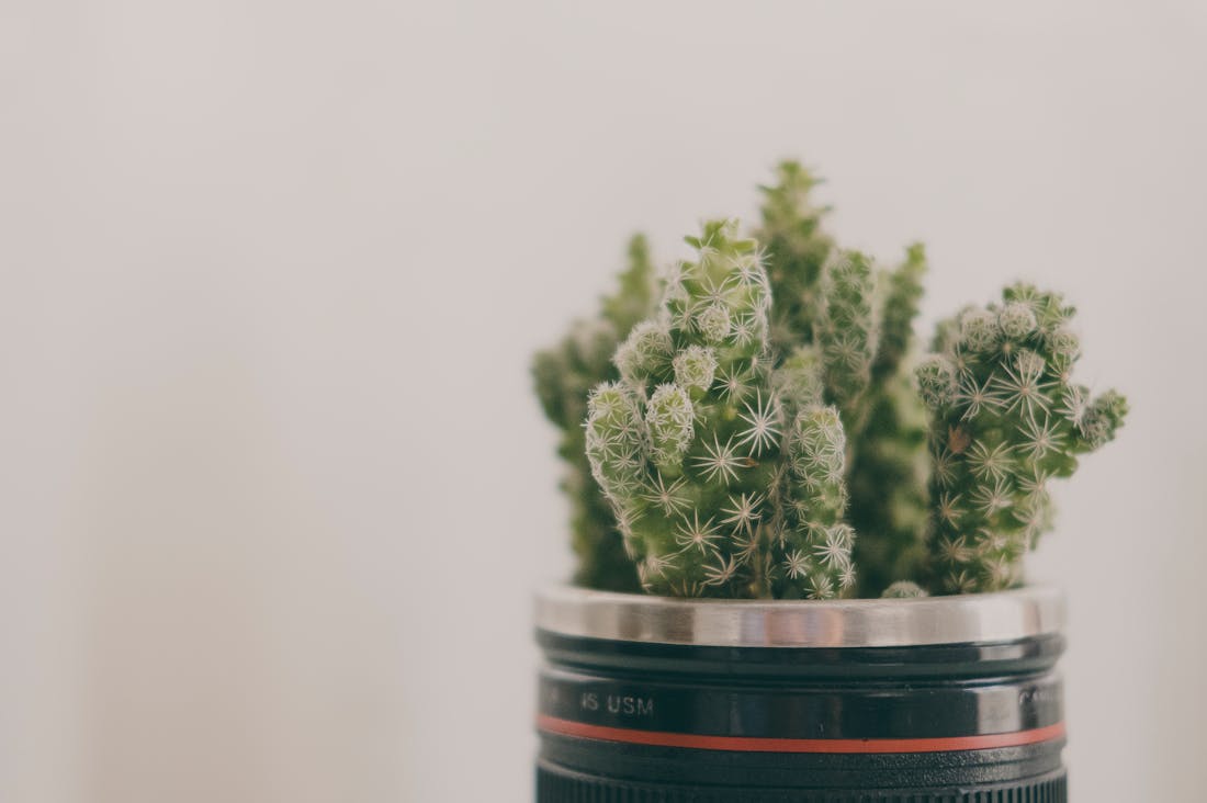 Tech for Good: How Innovative Technologies are Paving the Way for Sustainable Living Image 2