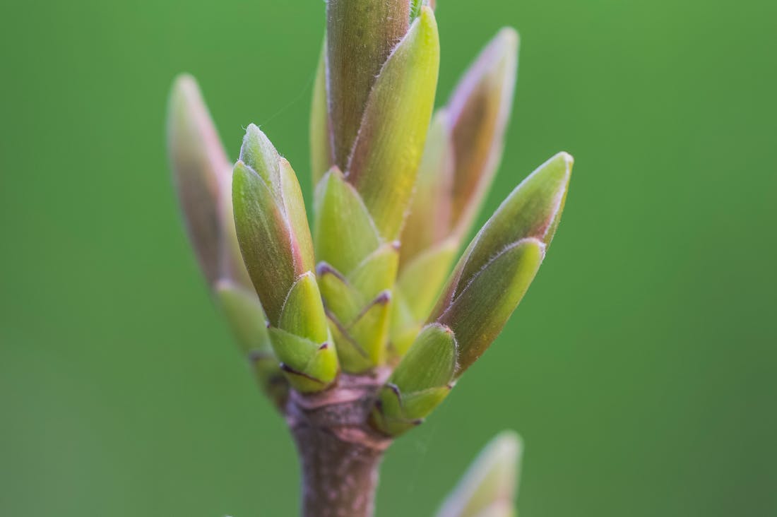 Tech Gadgets Revolutionizing Everyday Life: Essential Tools for Modern Living Image 3