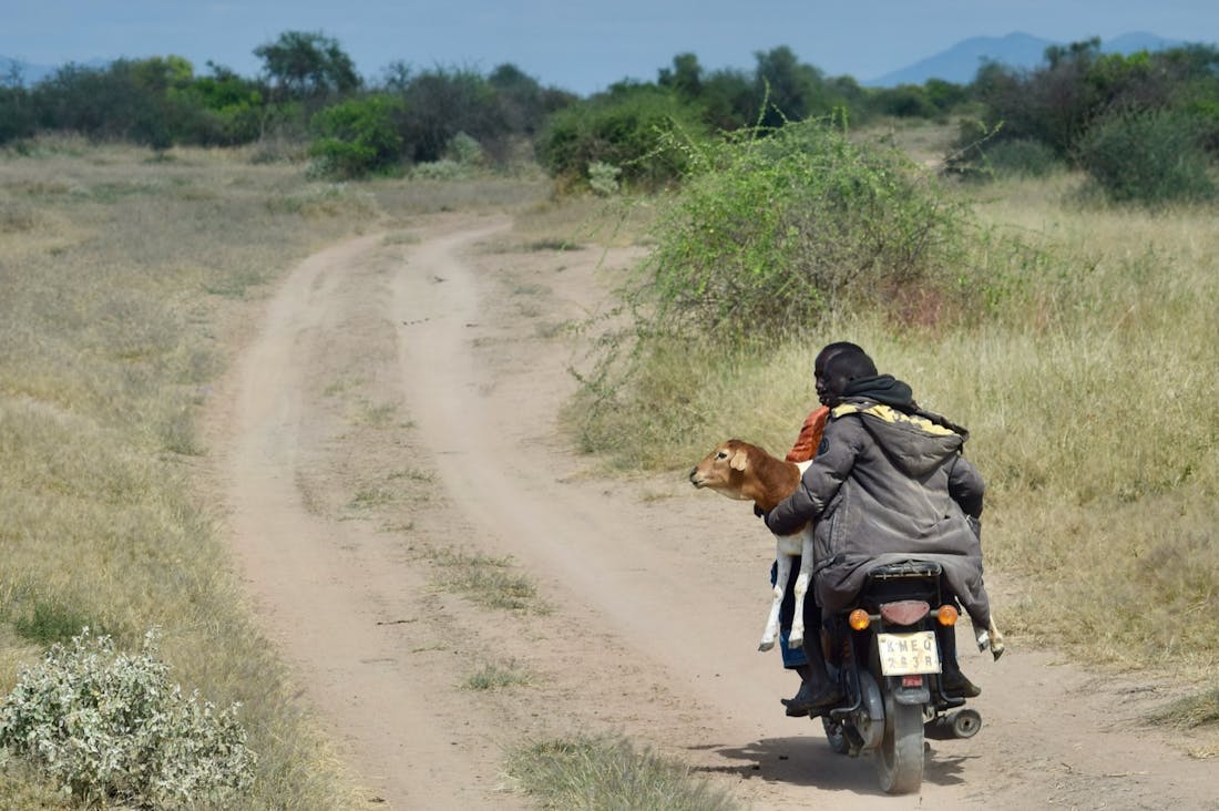 Tech Innovations Shaping Modern Travel Experiences Across the Globe Image 3