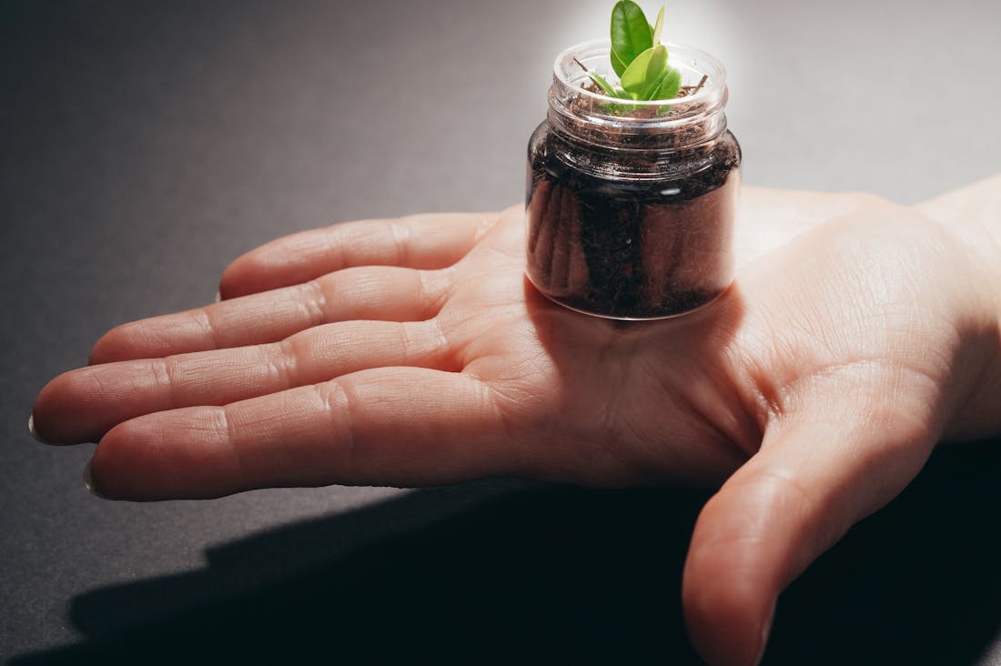 Tech Innovations Shaping the Future of Eco-Friendly Travel Options Image 3