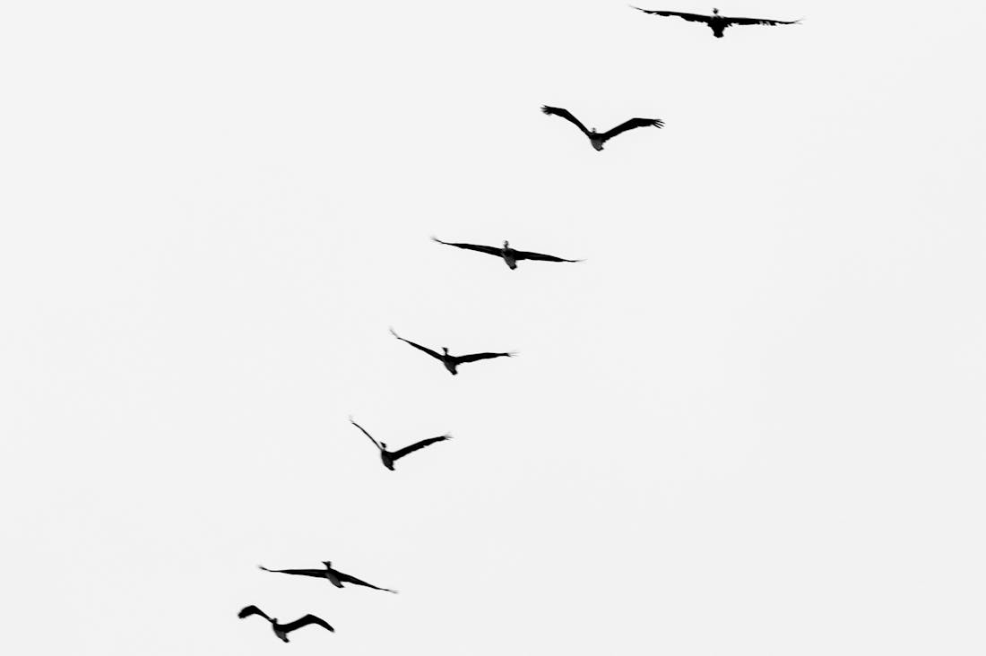 Tech Innovations Transforming Travel Experience Today Image 2