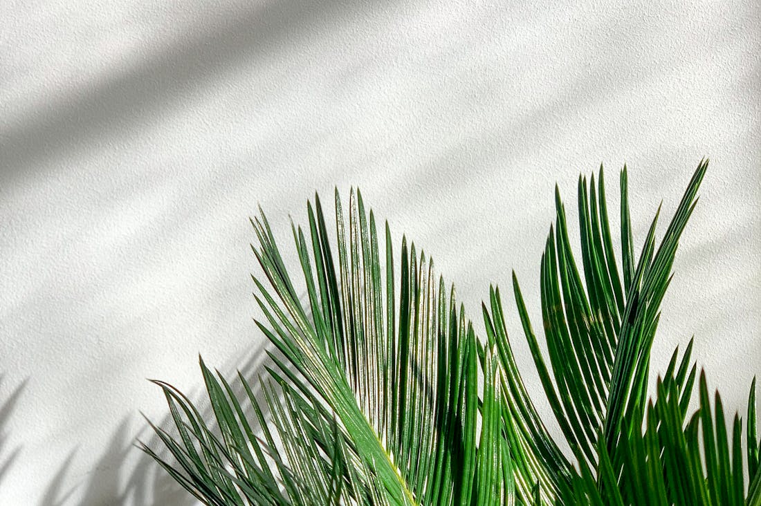 Tech Lifestyle: How Innovation is Shaping Daily Living Image 3