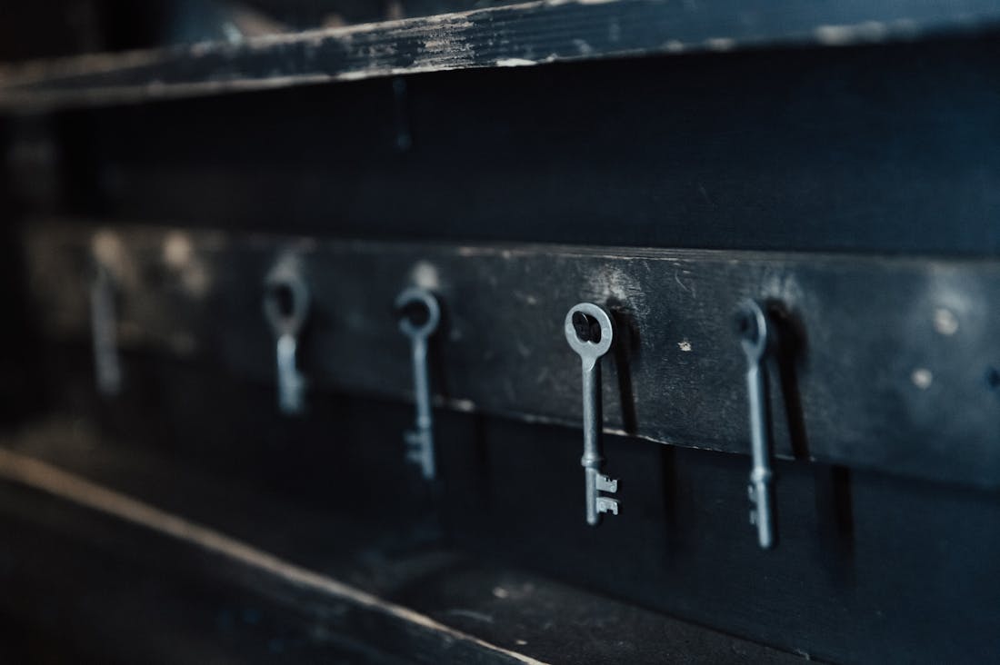 Tech Trends: Navigating the Ever-Evolving Landscape of Digital Innovation Image 1