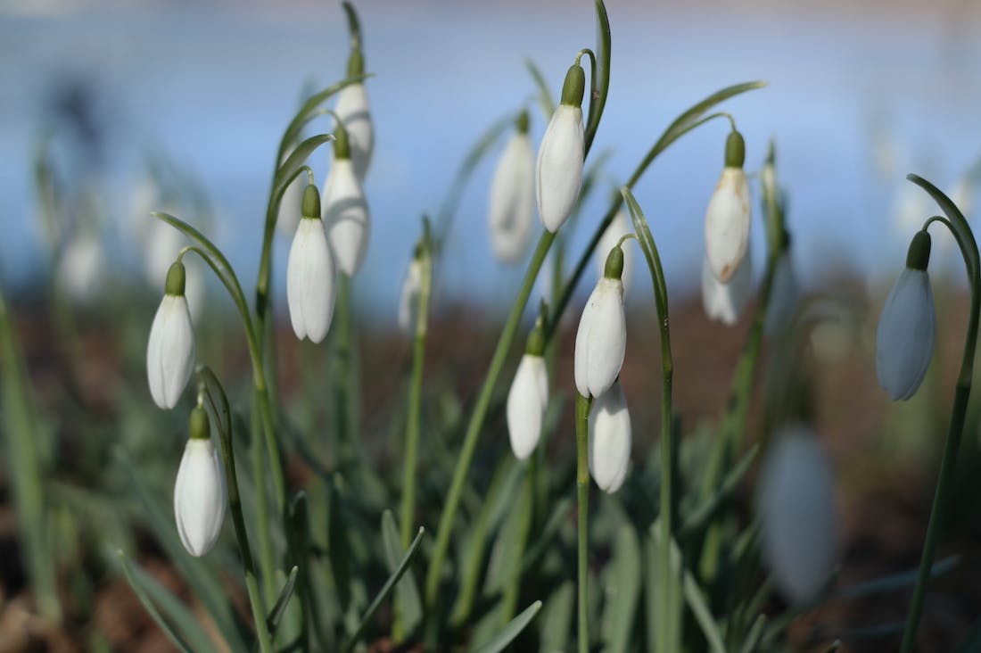 Tech Trends Shaping Our Lives: Insights into the Future of Personal Technology Image 1