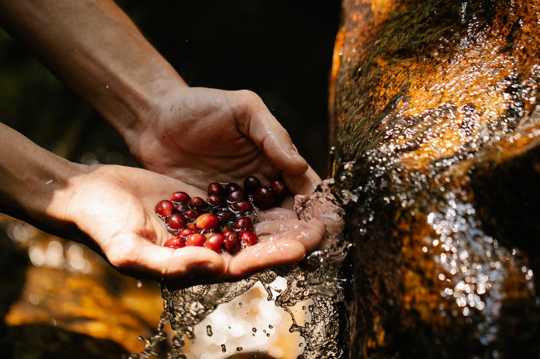 Ten Essential Health Habits for a Vibrant and Energized Life Image 3