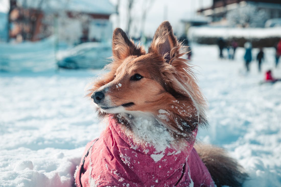 The Art of Effective Travel Planning: Crafting Unforgettable Journeys Image 3