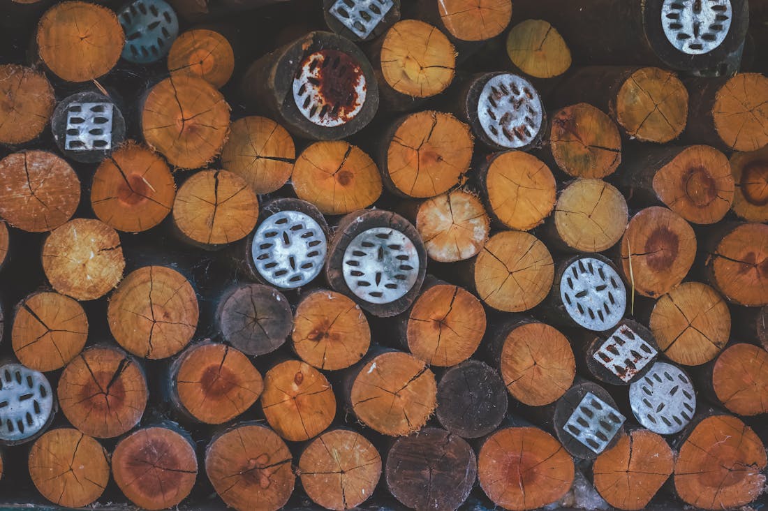 The Art of Living Well: Cultivating a Fulfilling Lifestyle Through Mind, Body, and Environment Image 3