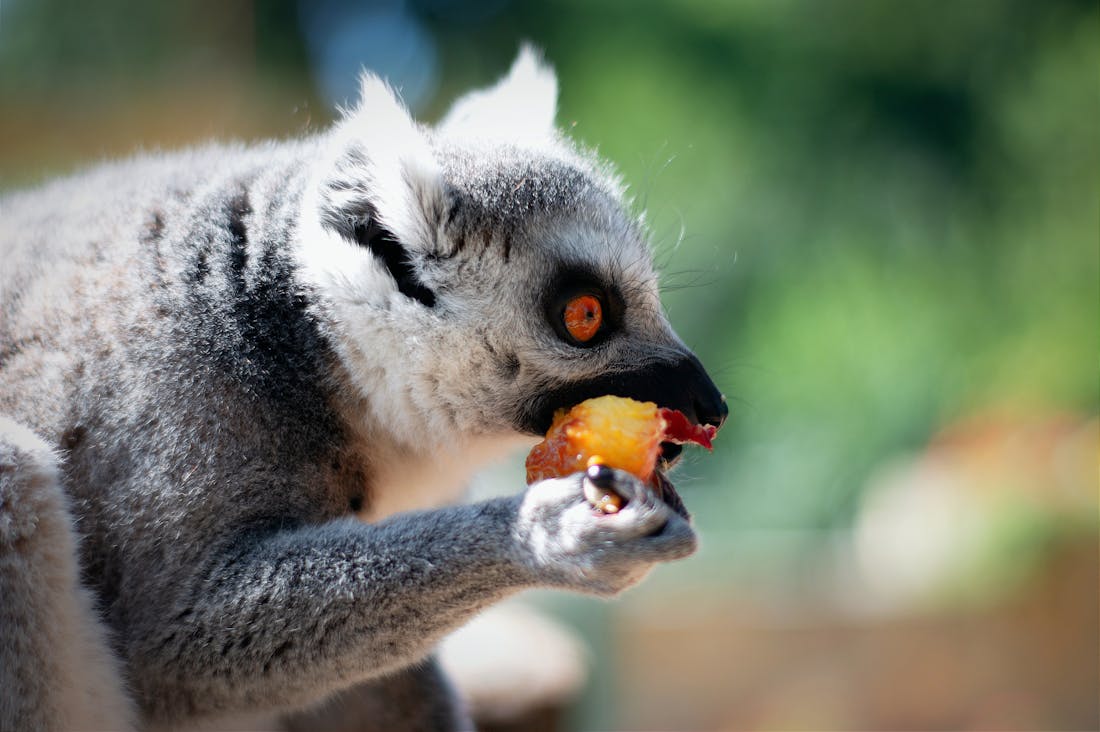 The Art of Mindful Eating: Transforming Your Relationship with Food for Better Health Image 3