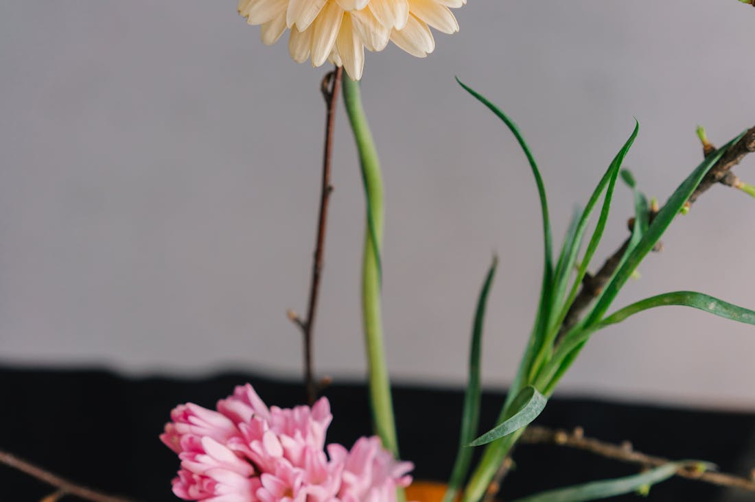 The Art of Mindful Living: How to Cultivate Presence and Balance in a Busy World Image 3
