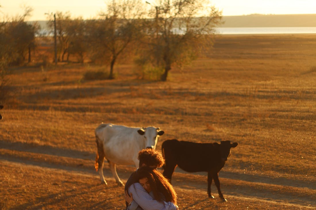 The Art of Mindful Living: Incorporating Simplicity and Gratitude into Your Everyday Life Image 2