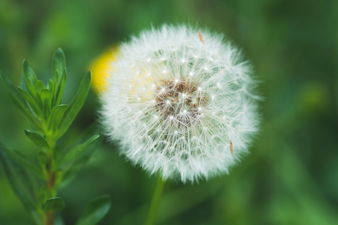 The Art of Mindful Living: Integrating Wellness, Travel, and Financial Well-Being Image 2