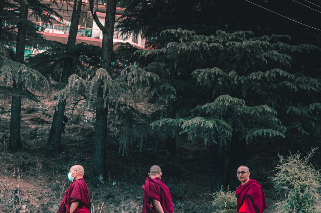 The Art of Mindfulness: Techniques to Enhance Your Lifestyle and Foster Well-being Image 1