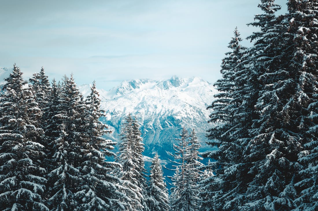 The Art of Modern Travel: Redefining Adventure in a Post-Pandemic World Image 3