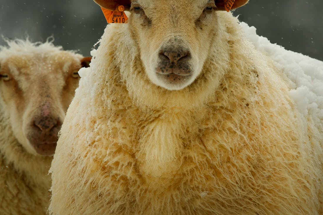 The Art of Slow Living: How to Cultivate Joy and Simplicity in Your Life Image 2