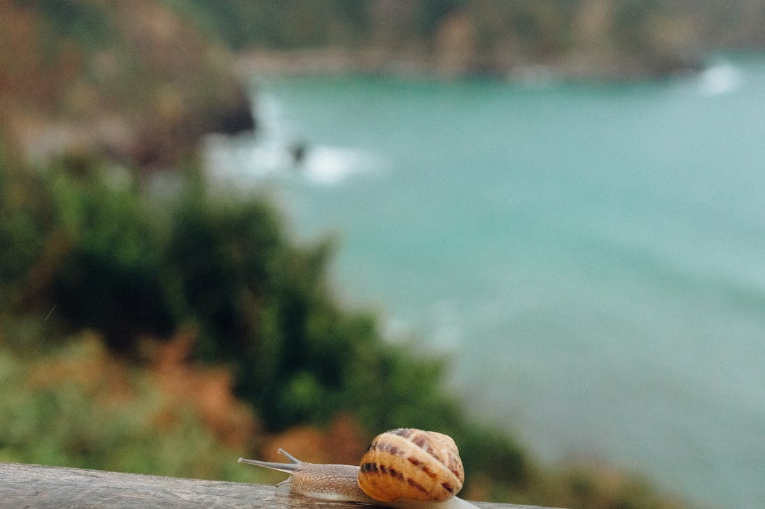 The Art of Slow Travel: Embracing Culture, Connection, and Mindfulness in Your Journeys