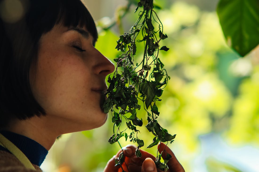 The Art of Sustainable Living: Simple Practices to Live Mindfully and Eco-Consciously Image 3