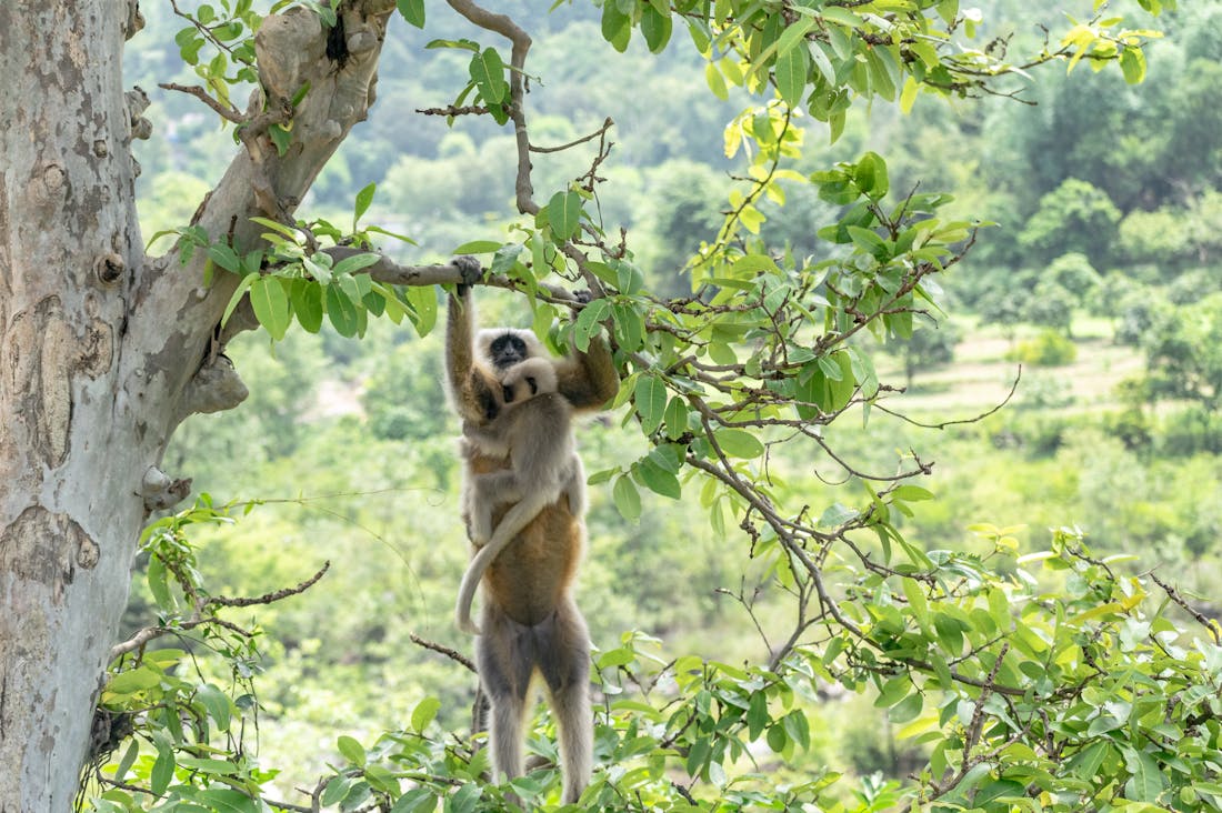 The Art of Sustainable Travel: How to Explore the World Mindfully Without Leaving a Trace Image 1